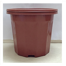 2 Chậu Nhựa Trồng Hoa, Cây Cảnh E230 CN