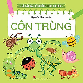 Vẽ Tất Tật Từ Những Hình Cơ Bản - Côn Trùng