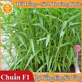 Hình ảnh Hạt giống Rau Muốn Lá Tre ( Gói 50 Gram ) - Nông Sản Vàng