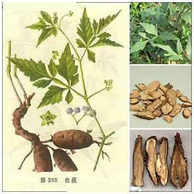 Dây cây chìa vôi khô sạch -1kg
