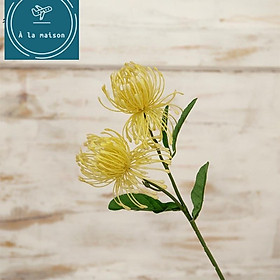 Mua Cành hoa Leucos cao 41cm đẹp sang trọng dung trong decor thiết kế nhà cửa  hoa cô dâu  hoa cưới