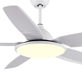 Mua Đèn quạt trần 46zsm-s6L
