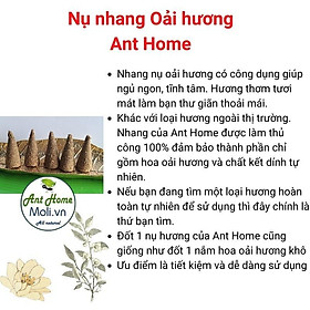 Mua Túi 11 nụ nhang Palo Santo nguyên chất - Nhang gỗ trắc xanh - Gỗ thánh Holly wood