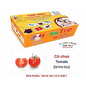   Bộ Thẻ Học Thông Minh 18 Chủ Đề loại to song ngữ tiếng Anh loại chuẩn Glenn Doman Flashcard cho bé từ 0-6 tuổi