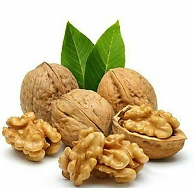 500gr quả óc chó nếp sạch sấy khô, hàng tuyển loại - đặc sản tây bắc