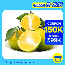 Chỉ Giao HCM - Cam Xoàn Mọng Nước 500gr - Chuẩn An Toàn Vietgap