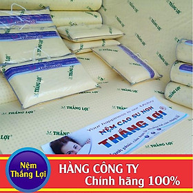 Mua Ruột Gối Nằm Cao Su Non Cứng   Thắng Lợi  40 x 60 x 9cm  50x70x9cm