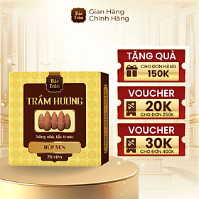 Mua Nụ Trầm Búp Sen Thác Khói – Hộp Vàng 50g | Bảo Trầm – Hương Trầm Dịu Nhẹ  Tự Nhiên