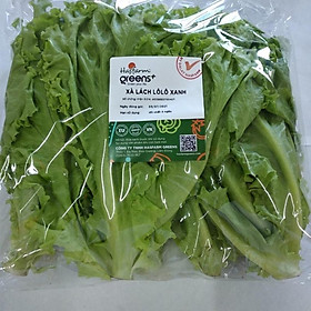 F-Salad lolo xanh 300g-HG