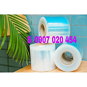 Mua Màng PE quấn hàng 10cm( 600gr) lõi 60g