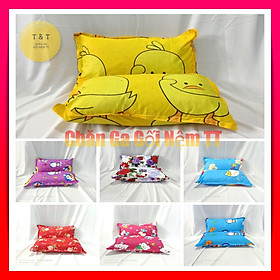 Mua Gối Nằm Cho Người Lớn - Ruột Gối Kèm Vỏ Giá Rẻ - Nhiều Mẫu - Gối Bao Vỏ