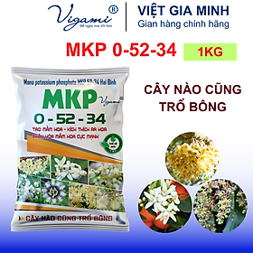 Mua Phân Bón lá tạo mầm hoa MKP 0-52-34 1KG - Siêu Lân Kali kích thích ra hoa  xử lý nghịch vụ