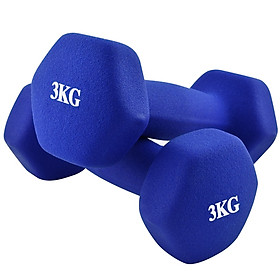 Bộ 2 tạ tay 3kg cao cấp tập Gym BG (hàng nhập khẩu)