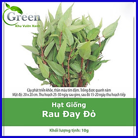 Mua Hạt Giống Rau Đay Đỏ - Gói 10gam