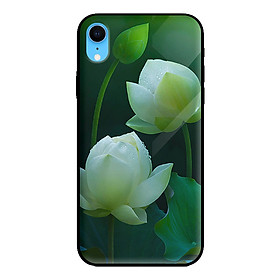Ốp lưng kính cường lực cho iPhone XR HOA SEN 2 - Hàng chính hãng