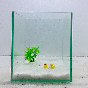 Bể cá mini để bàn 15x15x20cm tiểu cảnh