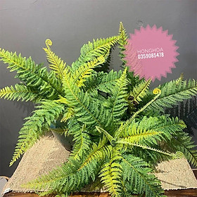 Mua Cụm Lá Dương Xỉ Giả Cao 7 Lá Dài 45 cm trang trí decor siêu xinh