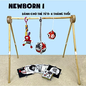 Đồ chơi cho bé PiPoVietnam - Combo Newborn 1 kích thích thị giác cho bé sơ