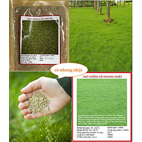 Gói 50 gram.Hạt giống cỏ nhung nhật ,cỏ thảm cảnh,cỏ trồng sân vườn(tặng kèm phân bón)