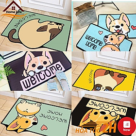 Thảm Lau Chân 3D Hình Thú Đáng Yêu - Thảm Lau Chống Trơn Trượt 40x60CM - GIAO MẪU NGẪU NHIÊN