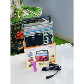 Mua Đài Radio FM FP 309BT Trải nghiệm âm thanh sống động với công suất 5W  kết nối Bluetooth  USB  TF  AUX  đèn LED pin sạc quà tặng ông bà cha mẹ ý nghĩa hàng nhập khẩu