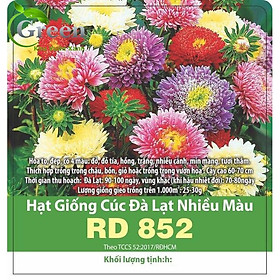 Mua Hạt Giống Hoa Cúc Đà Lạt Nhiều Màu Mix