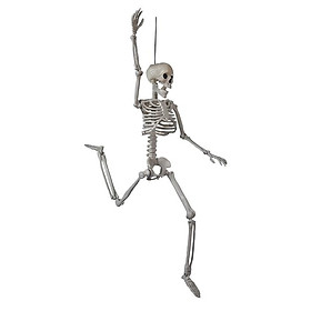Xương toàn thân thực tế xương của bộ xương Halloween 60 cm với các khớp di động để trang trí tiệc Halloween