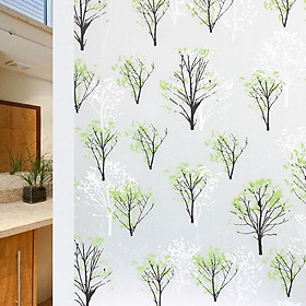 Mua Combo 5m Decal Giấy Dán Kính CÂY XANH LÁ Khổ 45cm Có Sẵn Keo Tiện Lợi