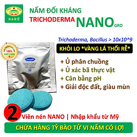 2 viên Chế phẩm vi sinh NANO-GRO. Trichoderma Bacillus cực mạnh. Ngặn chặn nấm bệnh vàng lá thối rễ. Nhập khẩu Hoa Kỳ