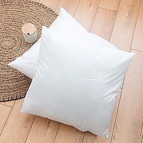 Mua Ruột Gối Vuông Bông Hạt Cao Cấp việt nam ( lẻ 1 cái )