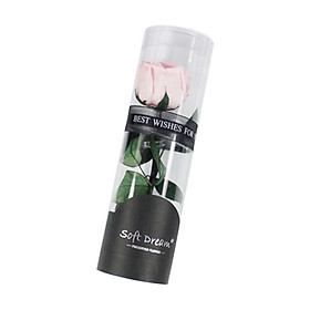 Hoa hồng vĩnh cửu được bảo quản trong hộp quà thích hợp làm quà cho bạn gái,mẹ vào dịp Valentine Christmas