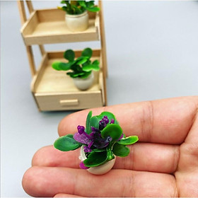 Mua KHO-HN * Mô hình chậu cây hoa mini trang trí nhà búp bê  bàn làm việc  tiểu cảnh  terrarium  DIY