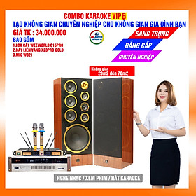 Mua Dàn karaoke gia đình loa C15pro giá 34 triệu đồng - Hàng chính hãng