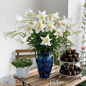 Mua Lọ hoa men hoả biến bóng kính_xanh ngọc xanh biển