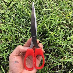 Mua Khay lẩu cá chép inox