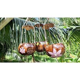 Mua Lồng Đèn/ Gáo Trang Trí Sân Vườn/Gáo Treo Sáp Thơm