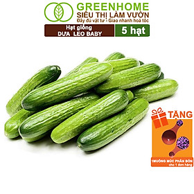 Mua Hạt Giống Dưa Leo Baby Greenhome  Gói 5 Hạt  Trái Suôn Dạng Chùm Giòn Ngọt  Dễ Trồng Quanh Năm  Năng Suất Cao T01