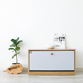 Kệ Giày Thông Minh 1 Tầng Nội Thất Kiểu Hàn BEYOURs