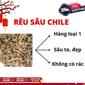 Mua Rêu sâu ChiLe (giữ ẩm tuyệt vời cho phong lan) gói 100g