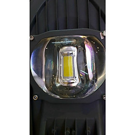 Đèn Đường Chiếc Lá Năng Lượng Mặt Trời 100W ND14