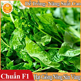 Hình ảnh Hạt giống Mồng Tơi Xanh ( Gói 10 Gram ) - Nông Sản Vàng