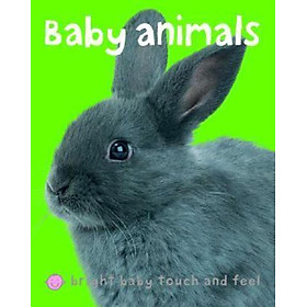 Sách - Bright Baby Touch & Feel Baby Animals by Roger Priddy (US edition, paperback)