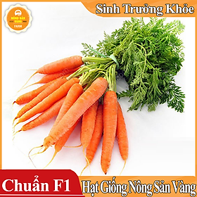 Hạt giống Cà Rốt Thường F1 ( Gói 3 Gram ) - Nông Sản Vàng