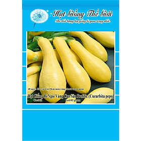2g Hạt Giống Bí Ngòi Vàng - Siêu Nhanh Cao Sản Prolific (Cucurbita pepo)