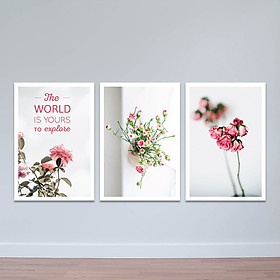 Mua Bộ 3 tranh tĩnh vật  Sắc hồng  | Tranh treo tường hoa lá W3396 Canvas có viền