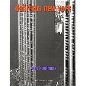 Delirious New York 