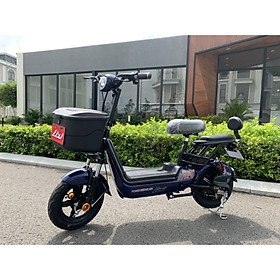 XE ĐẠP ĐIỆN LIXI TRÁI NHO