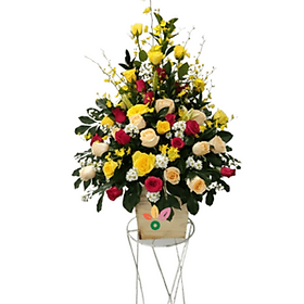 Mua Hộp Hoa Khai Trương -301