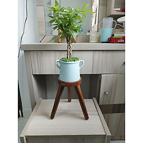 Mua Giá Đỡ Chậu Cây Đôn Gỗ Để Chậu Hoa Để Bàn/ Kệ Để Chậu Cây Kiểng Lựa Chọn Size