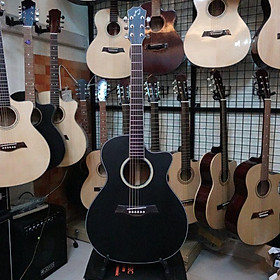 Mua Đàn Guitar Acousitc  MĐ 611B